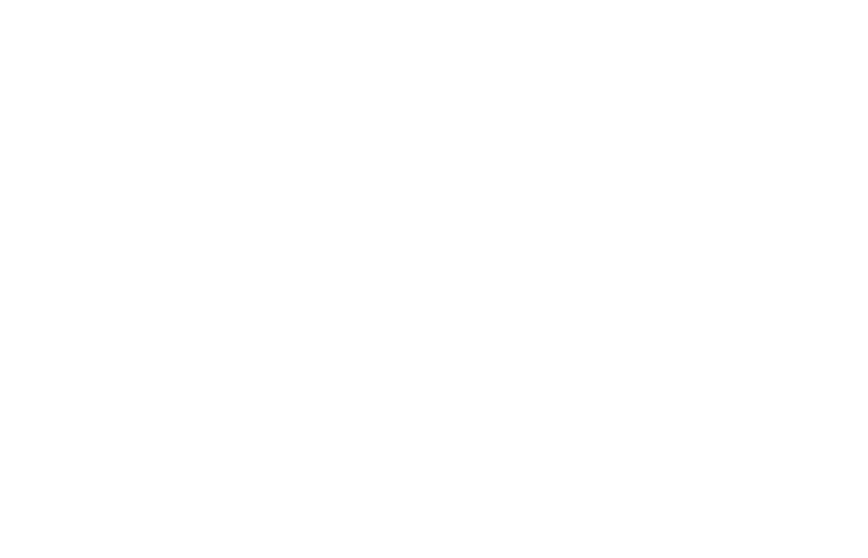 새미래민주당 심볼